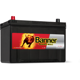 Banner 250/334 12v 95Ah 680CCA Car Battery (P95 05) (250/334) 
