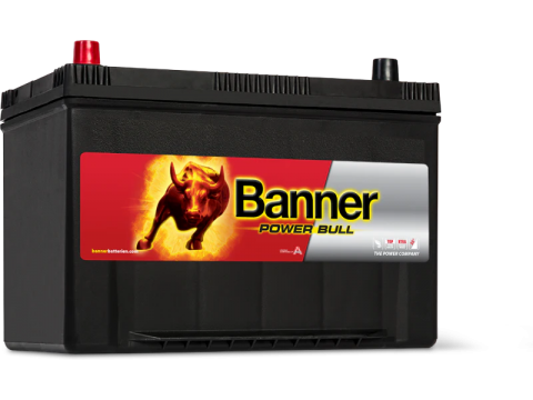 Banner 250/334 12v 95Ah 680CCA Car Battery (P95 05) (250/334) Banner 250/334 12v 95Ah 680CCA Car Battery (P95 05) (250/334)