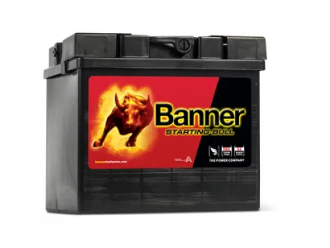 BANNER AGM53034 30AH AGM BATTERY BANNER AGM53034 30AH AGM BATTERY