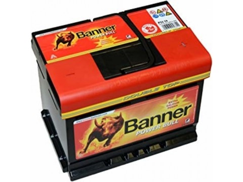 Banner 065 12v 55Ah 480CCA Car Battery (P5519) (065) 
