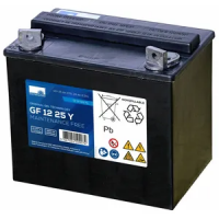 Sonnenschein GF12025YG 12v 28Ah Mobility Battery(GF 12 025 Y G) 