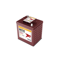 TROJAN TE35AES 6V DEEP CYCLE TE35AGM BATTERY