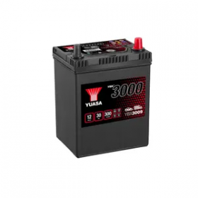 YUASA YBX3009 30Ah 280 CCA Car Battery 