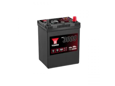 YUASA YBX3009 30Ah 280 CCA Car Battery 