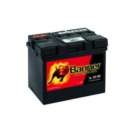Banner 895/101 12v 30Ah 300CCA Car Battery (530 30) (895/101) 