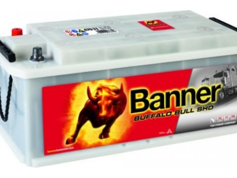 Banner SHD 670 33 12v 170Ah Commercial Vehicle Battery  