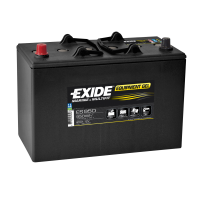 Exide ES950 Gel (664)