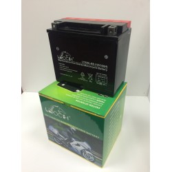 Leoch YTX20L-BS 12v 18Ah AGM Motorcycle Battery (YTX20LBS) 