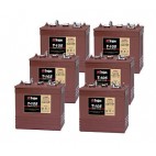 6 x T105 6v 225Ah Golf Buggy Batteries (T-105) t105 Trojan Leisure