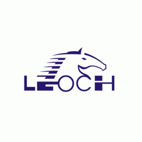 Leoch Mototcycle